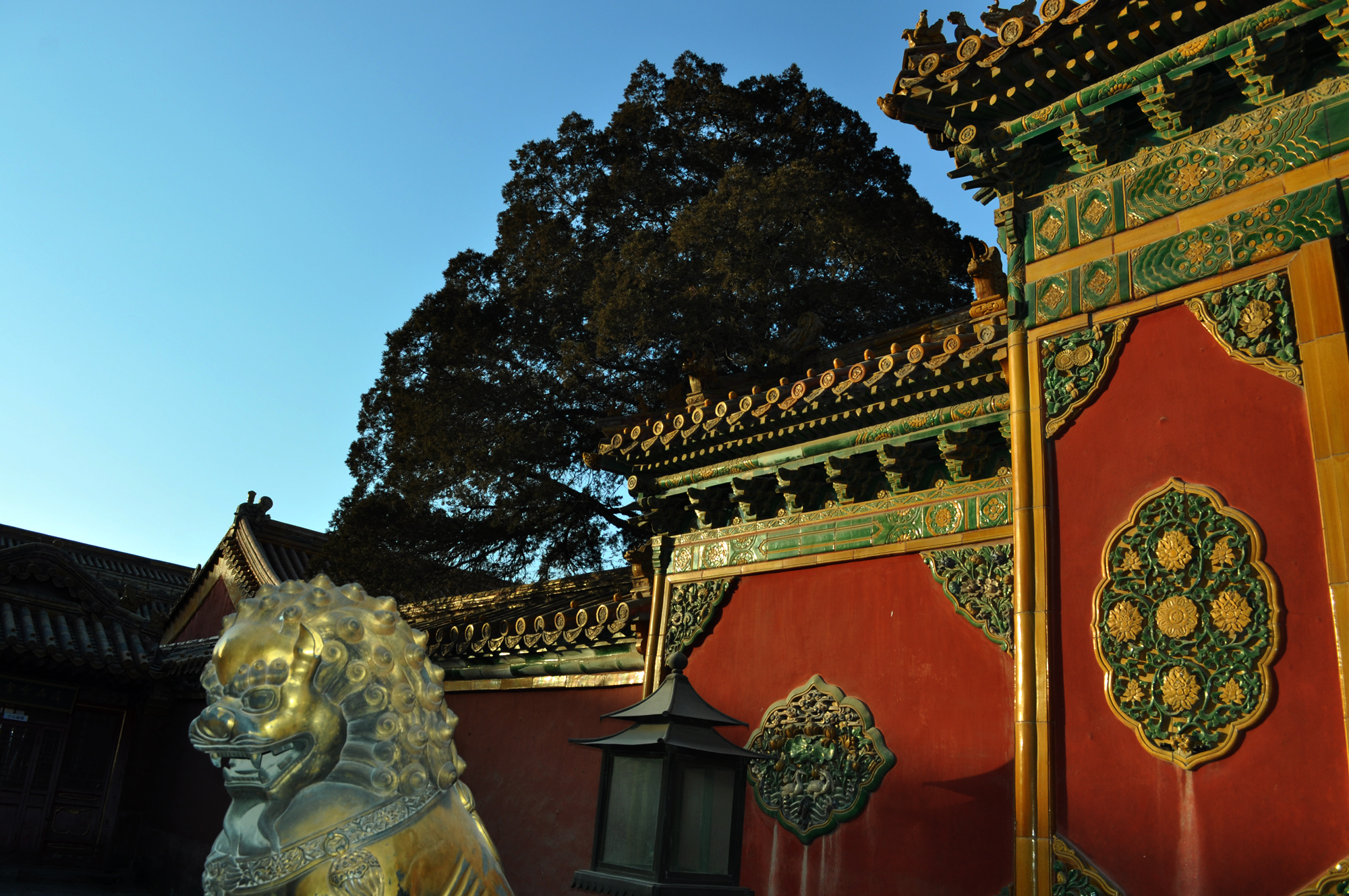 Forbidden city, Beijing – Travel photos