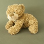 product photo - teddy bears