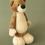 photo project - teddy bears