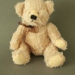 photo project - teddy bears