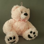 photo project - teddy bears