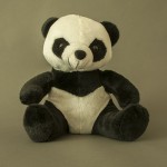 product photo - teddy bears