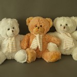 photo project - teddy bears