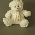 product photo - teddy bears