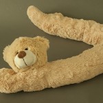 photo project - teddy bears