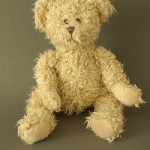 photo project - teddy bears