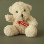 photo project - teddy bears