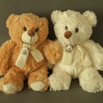 photo project - teddy bears