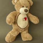 photo project - teddy bears